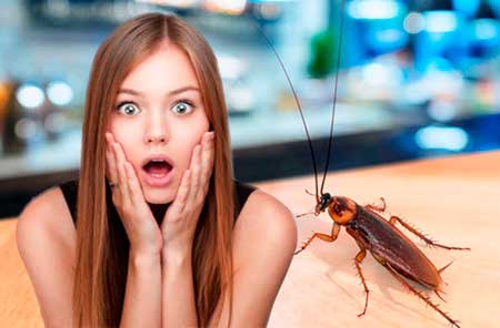 Головна Дезнаб Засіб від тарганів