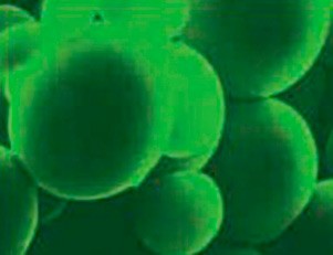 Деманд™ -засіб проти комах