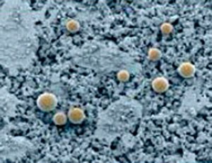 Мікрокапсули Деманд™