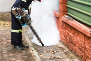 Служба Дезснаб