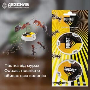 Пастка від мурах Outcast