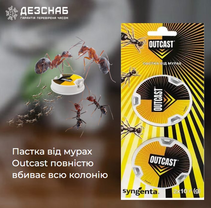 Пастка від мурах Outcast