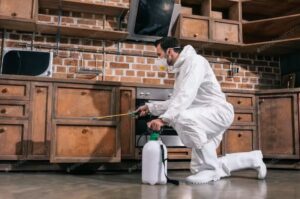 Дезінсекція